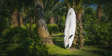 Load image into Gallery viewer, FUTURE FLY WHITE TIGER FREERACE