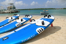 Load image into Gallery viewer, FREE BIRD 121 FREERIDE WINDSURFING BOARD