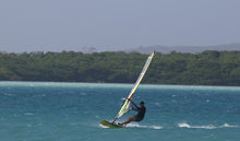 Load image into Gallery viewer, NEW ABU FISH WAVE 105