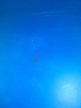 Load image into Gallery viewer, EXOCET CROSS PRO MODEL CARBON 106 - USED
