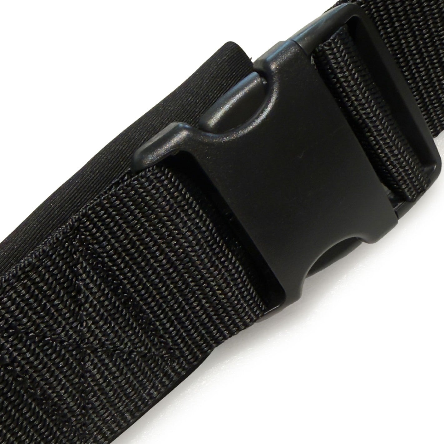 REPTILE COILED WAIST LEASH
